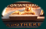 Der goldene Löwe über dem Eingang der Löwenapotheke. Klick: mehr Fotos